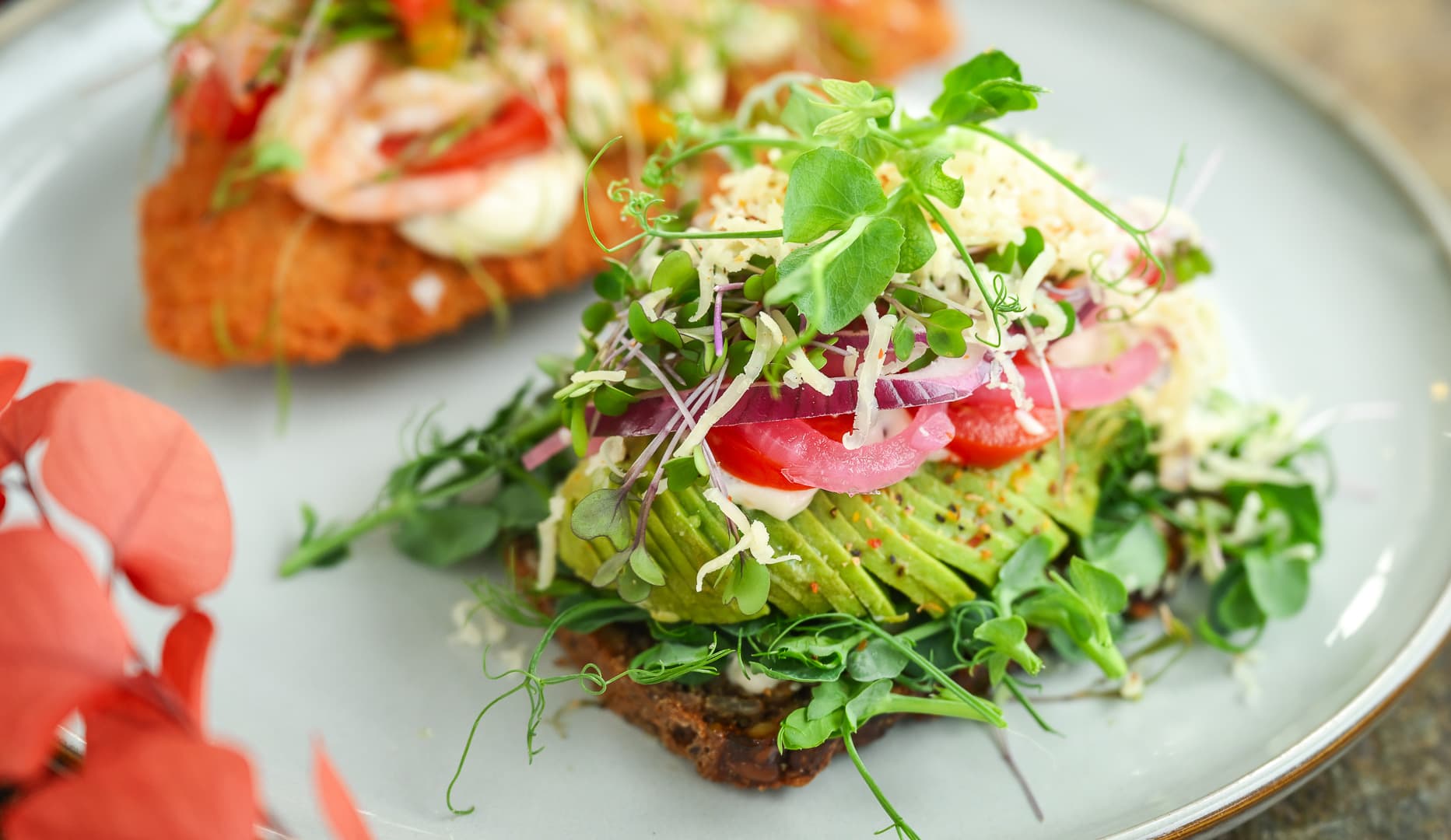 Gourmet Avokado m. unika ost